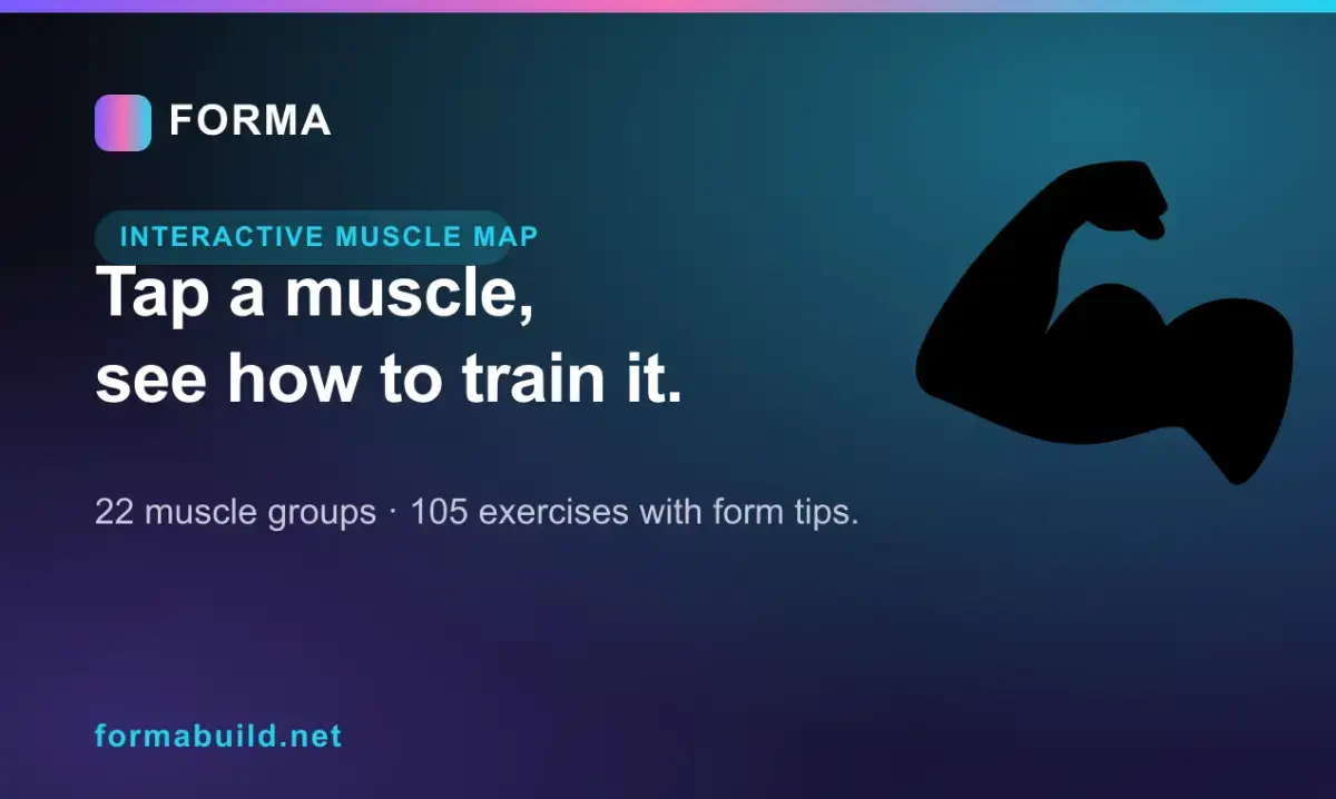 FORMA image number 11