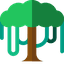 Canopy API